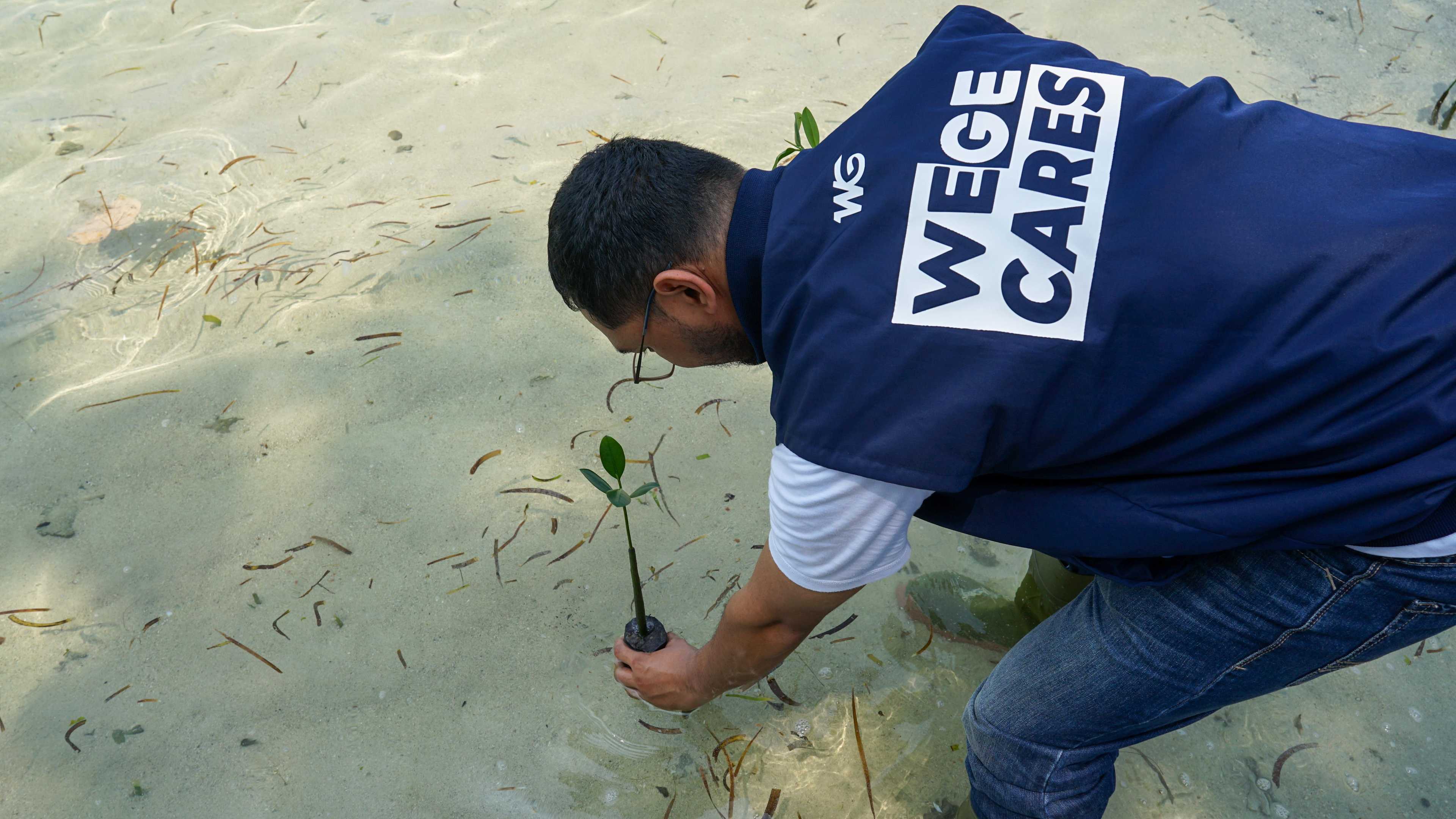 Sinergi WIKA Group: WEGE Ambil Peran Wujudkan Ekonomi Sirkular di Pulau Pari